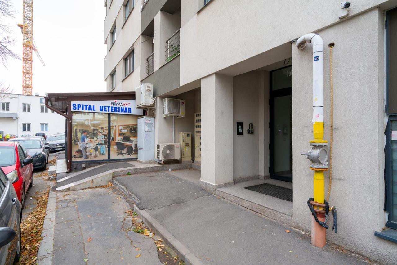 Lujerului Studio Bukareszt Zewnętrze zdjęcie
